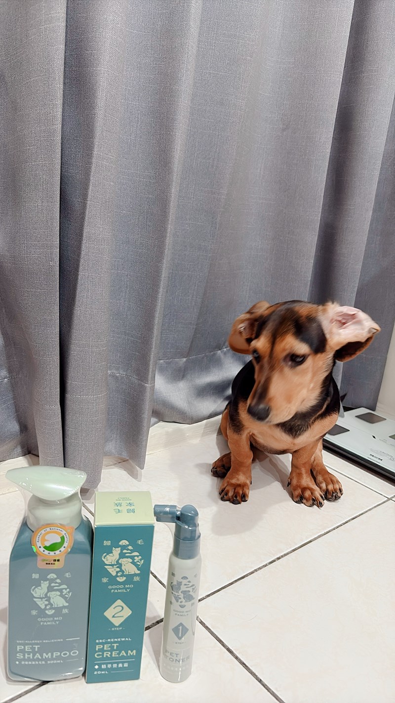 女人知己試用大隊,口碑行銷,部落客行銷,Goodmofamily歸毛家族 寵物肌膚救星組,歸毛家族 寵物肌膚救星,舒敏保濕洗毛乳,護膚噴液,精萃營養霜,博士30年生技專業,給足皮膚營養保護力,無抗生素 無類固醇,神經醯胺,19種綜合胺基酸,榮獲SNQ國家認證,上萬毛爸媽見證,3週幫助皮膚健康,NO.1寵物肌膚口碑霸主,寵物第一護膚領導品牌